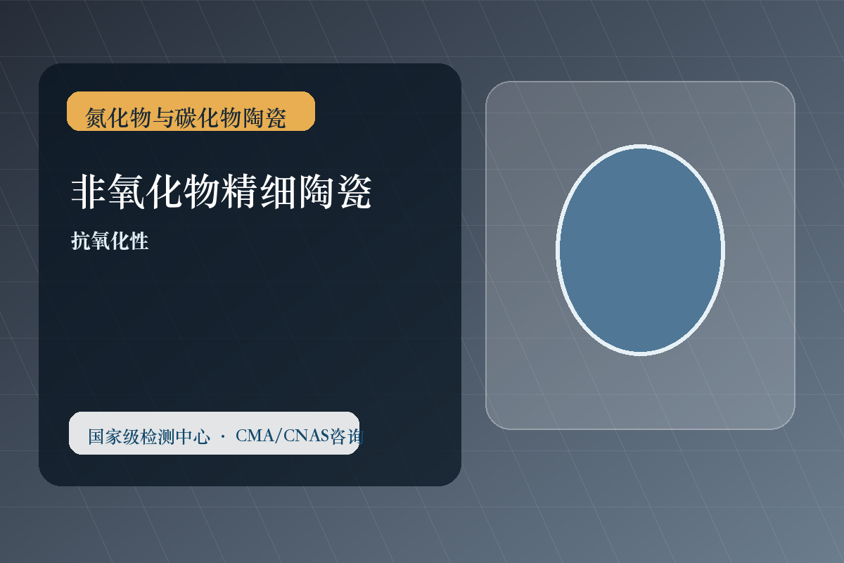 非氧化物精细陶瓷